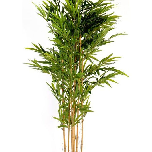 Artificial 6ft Bamboo Tree - Ashton and Finch