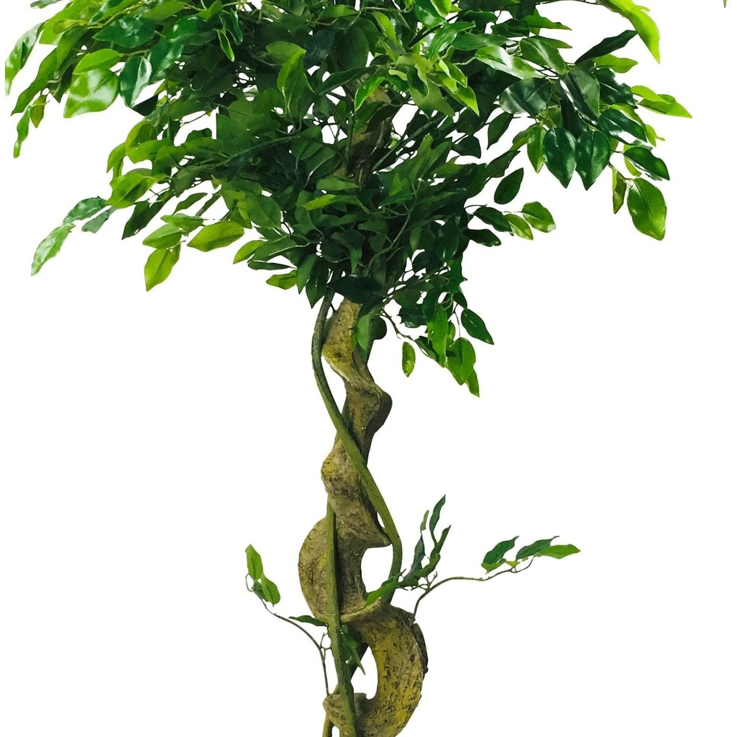 Artificial Ficus Tree With Twisted Trunk 137cm - Ashton and Finch