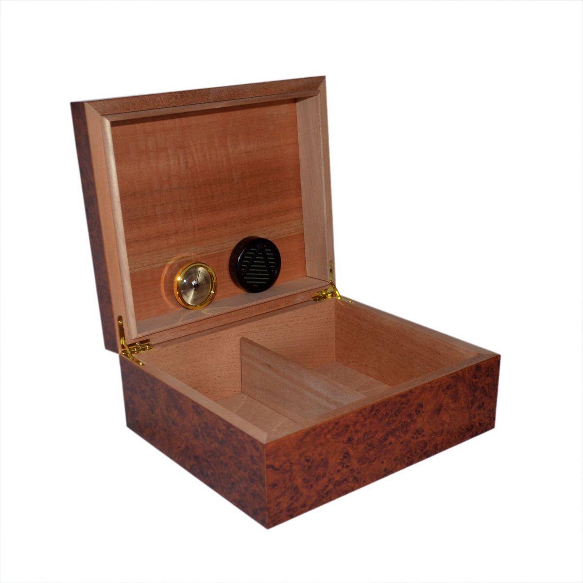 Burl Wood effect Semi Gloss 25 Capacity Cigar Humidor - Ashton and Finch